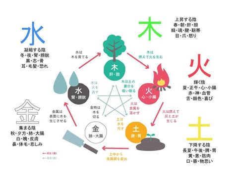 いんとよう|「陰陽(インヨウ， オンヨウ)」の意味や使い方 わかりやすく解。